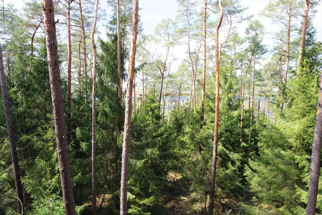 Am Dàntzwaj Apartamento Lembach Exterior foto